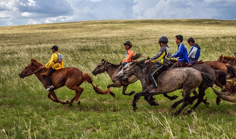 horse race mongolia 